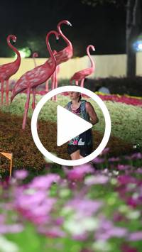 BIB:  <button type="button" onclick="openModal(27589940)" class="btn btn-primary btn-sm float-right" data-toggle="modal" data-target=".modal-high-quality">
                <i class="fa fa-download"></i> Download
                </button>